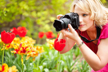 Make Money Online with Pictures