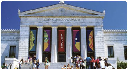 Bank of America Offers Free Museum Admissions November 5-6