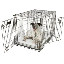 Top Paw Double Dog Door Only 57 59 At Petsmart The Krazy