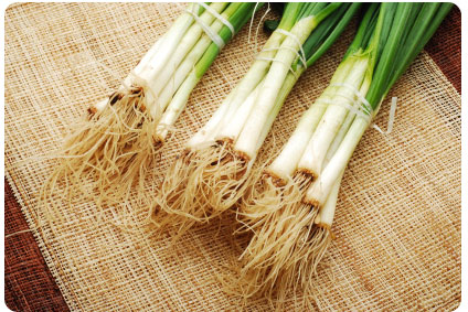 I'll Never Pay Again: One Simple Way to Free Green Onions