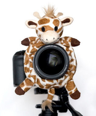 Shutter Huggers Camera Accessories as low as $17.99!