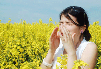 Allergy Products for a Small Budget