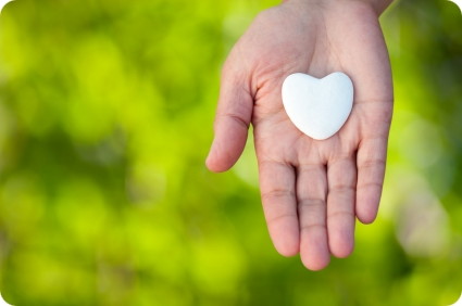 Charity Begins with Budget: Lend Your Voice to Petition Websites