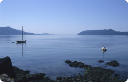 This Week's Groupon Specials: Orlando, San Juan Islands and more