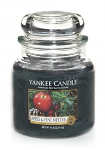 Yankee Candle Coupon---Buy One Get One Free!