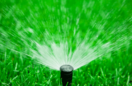 10 Ways to Save on Lawn Watering Costs