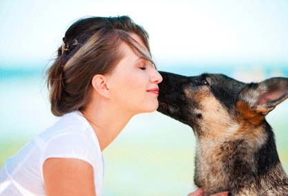 How Adopting a Shelter Pet Can Save You Money