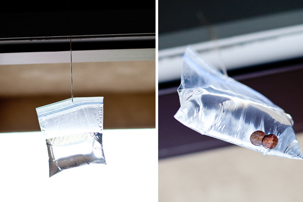 How to Banish Flying Insects on the Cheap
