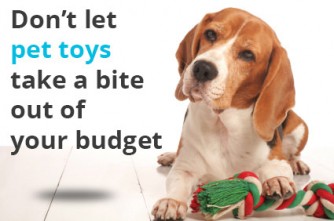 4 Ways to Save on Toys Your Pets Will Love - The Krazy Coupon Lady