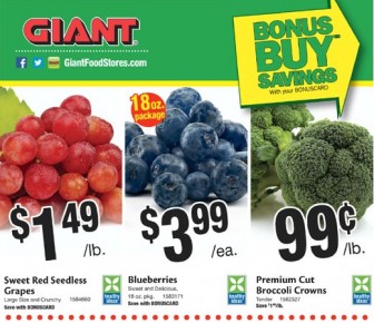 Giant 61