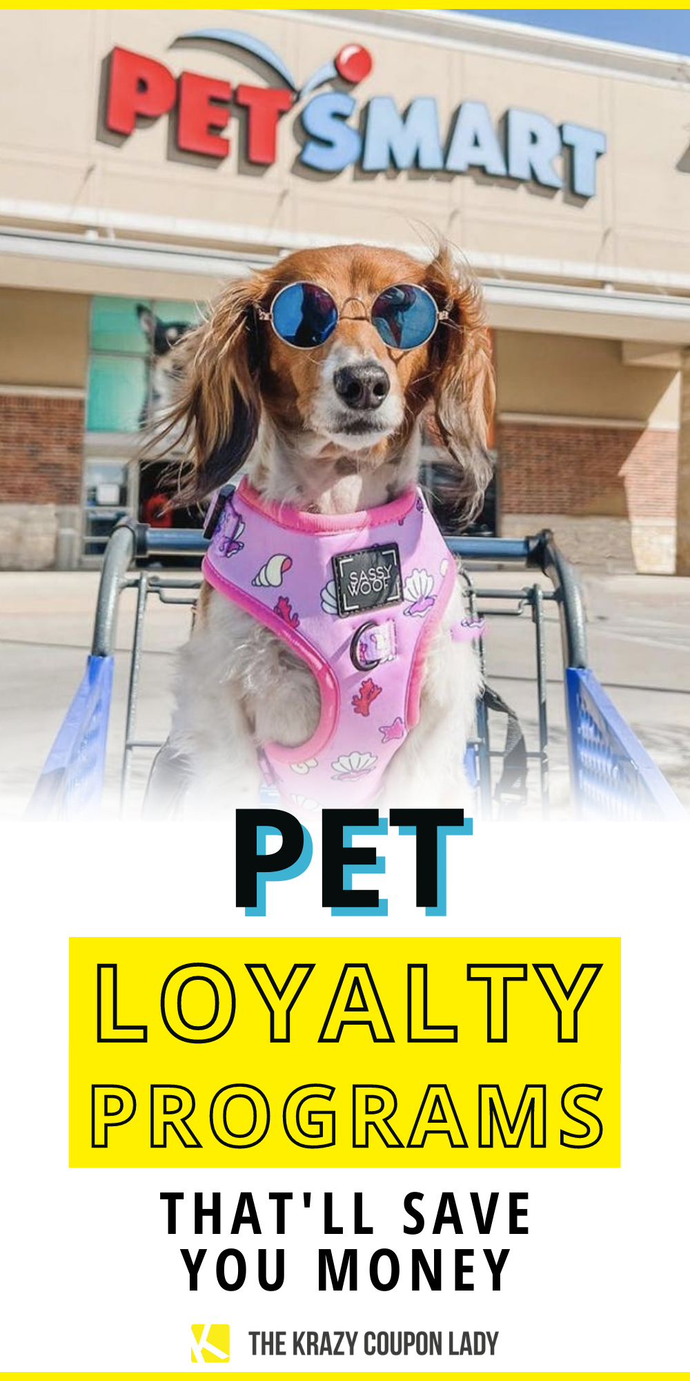 petco rewards program