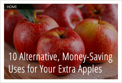 10 Ways to Use Up Your Extra Apples
