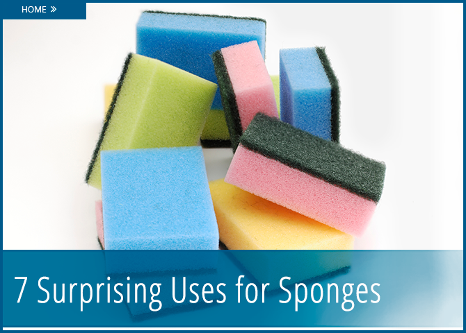 7 Alternative Uses for Your Common Household Sponge - The ...