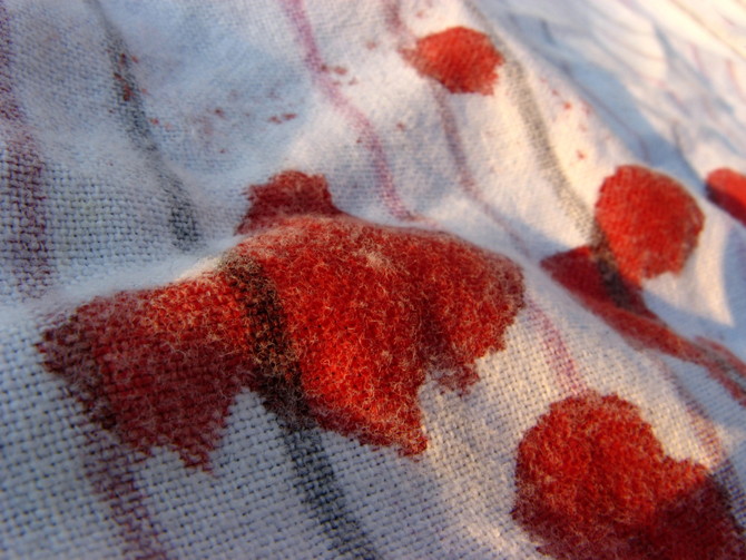 blood-stain