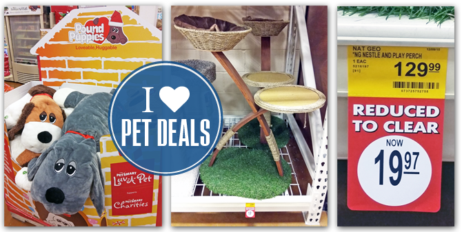 Petsmart Clearance Up To 85 Off Cat Condos Toys Beds The