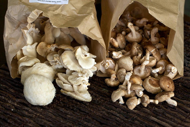 mushrooms-bag