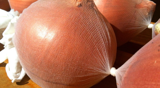 onions-stockings