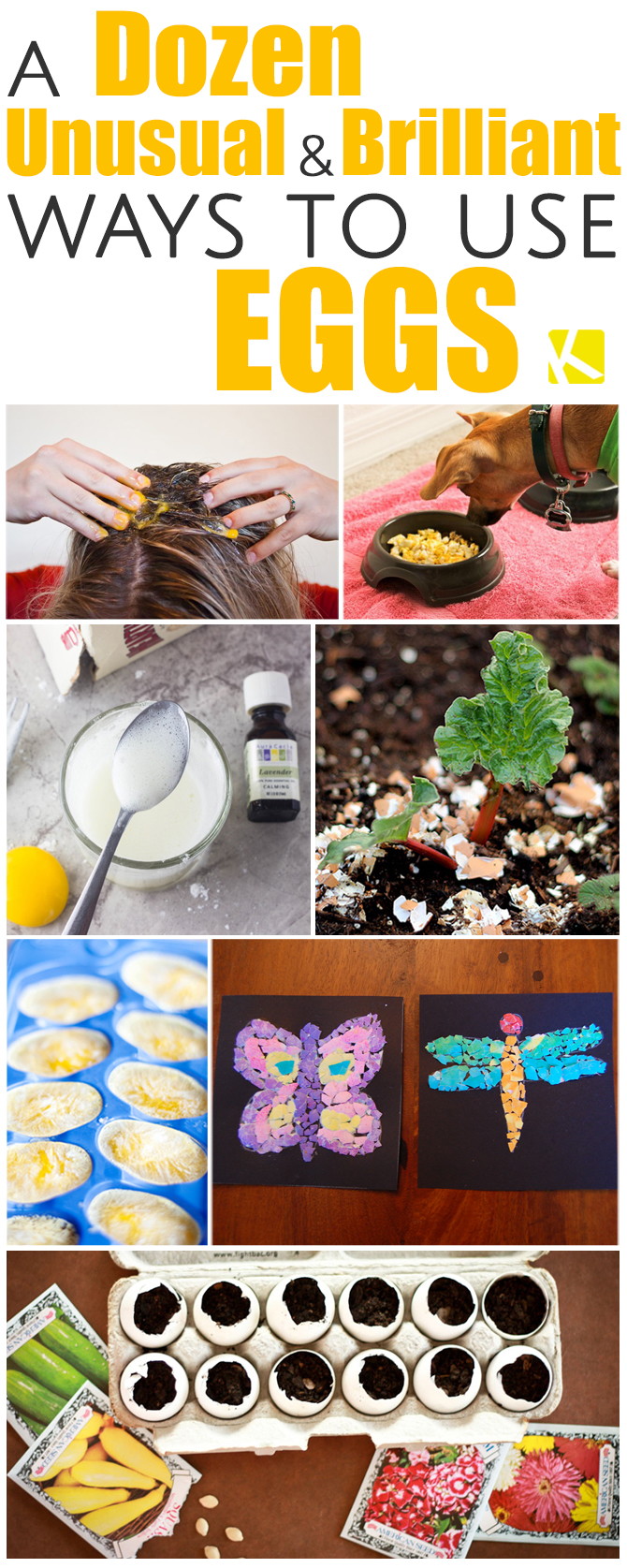 12 Unexpectedly Brilliant Ways to Use Eggs