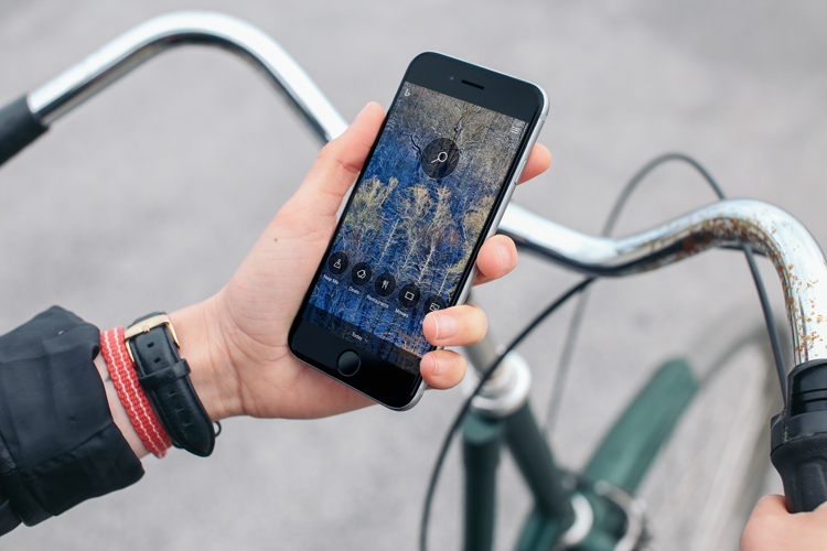 bing app