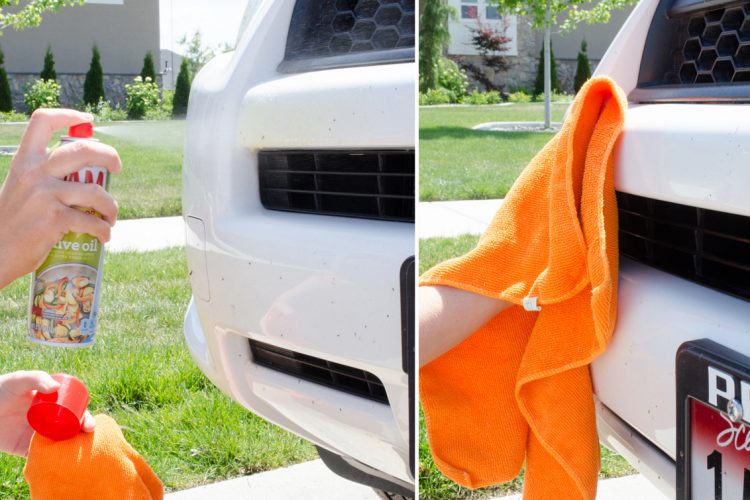 Get rid of dead bugs on the front of your car with cooking spray.