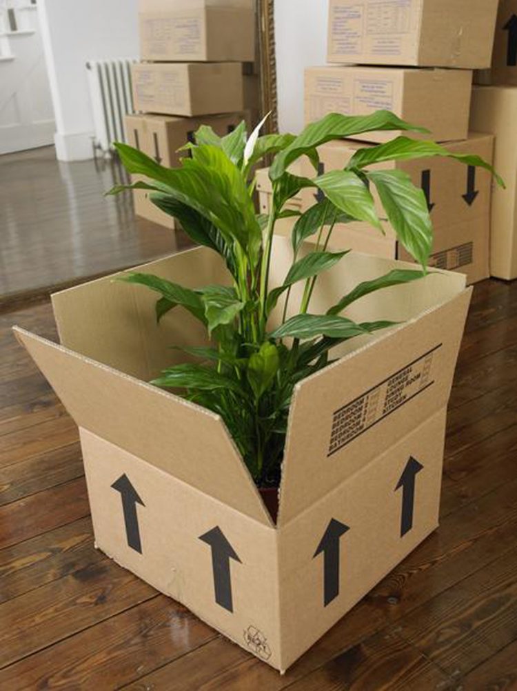 16 Expert Tips For Moving on a Budget
