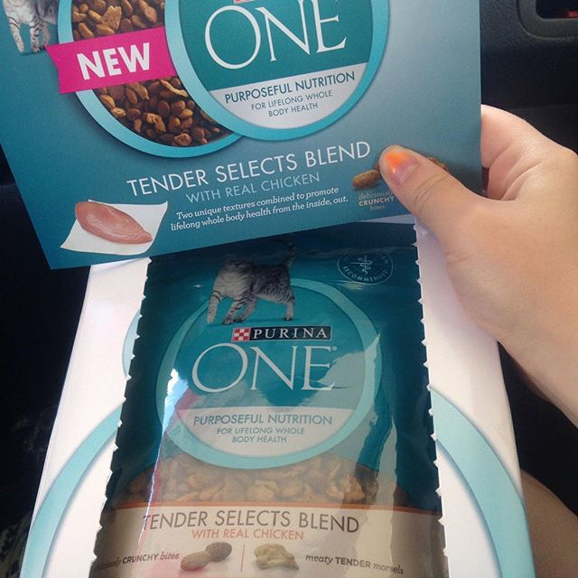 26 Best Internet Freebies You Can Get Right Now