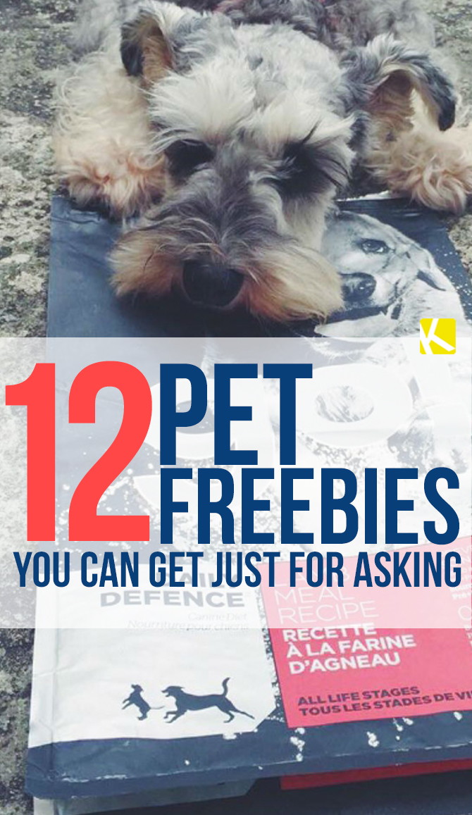 11 Pet Freebies You Can Get Just by Asking