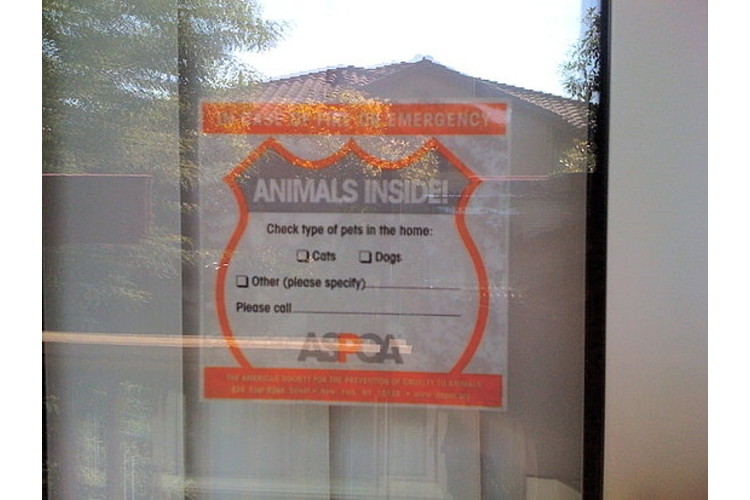 ASPCA Pet Safety Pack