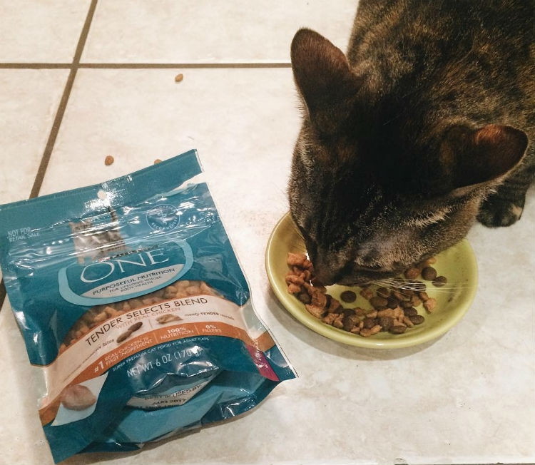 Purina One Tender Selects Cat Food