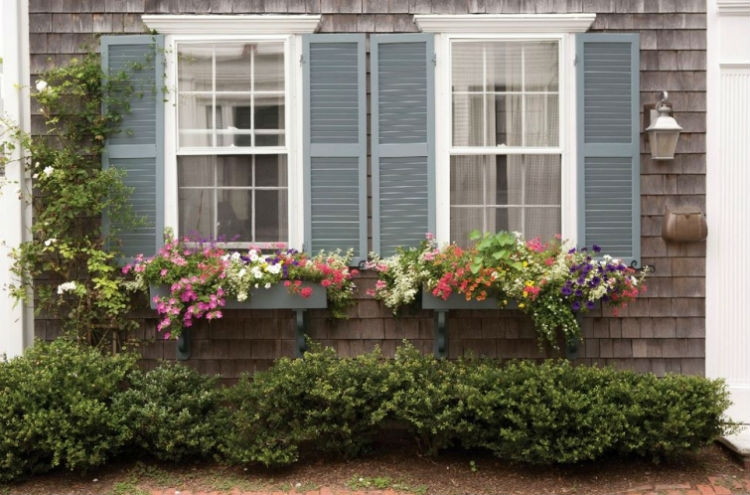 Add window boxes to the front of your house.