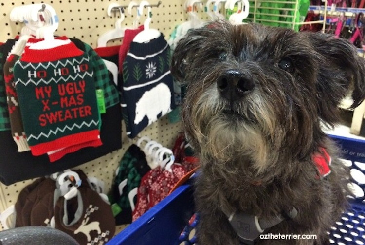 13 Unexpected Places to Find Unbeatable Black Friday Deals The Krazy