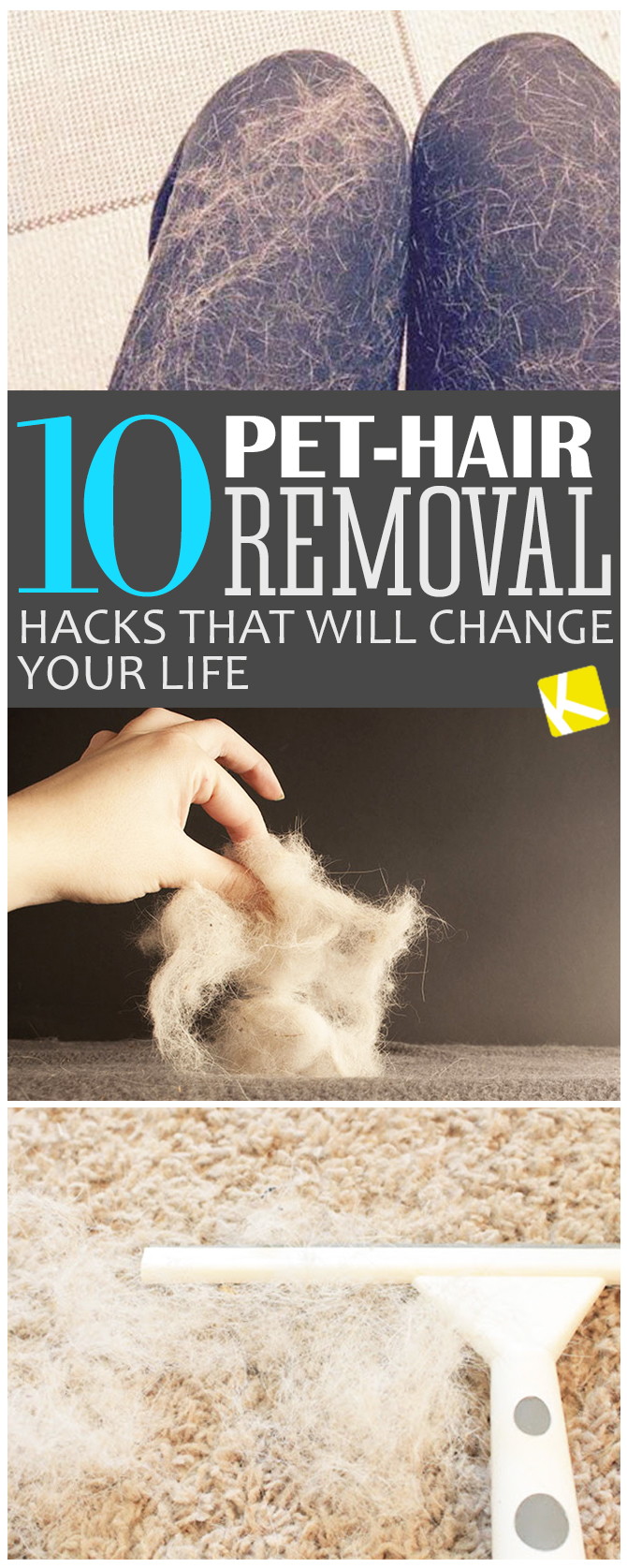 10 Pet-Hair Removal Hacks That Will Change Your Life
