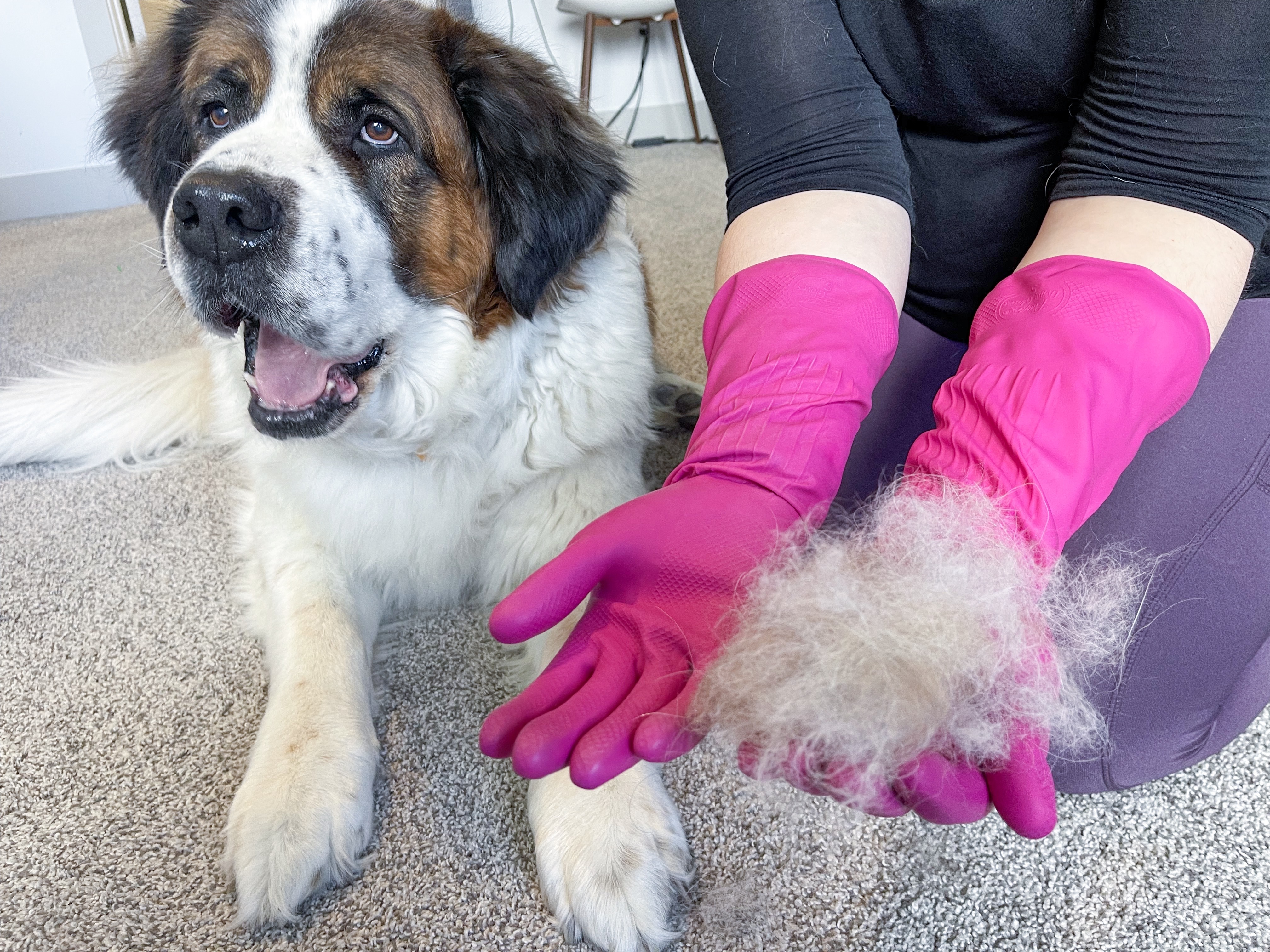 13 Best DIY Pet Hair Removal Hacks The Krazy Coupon Lady