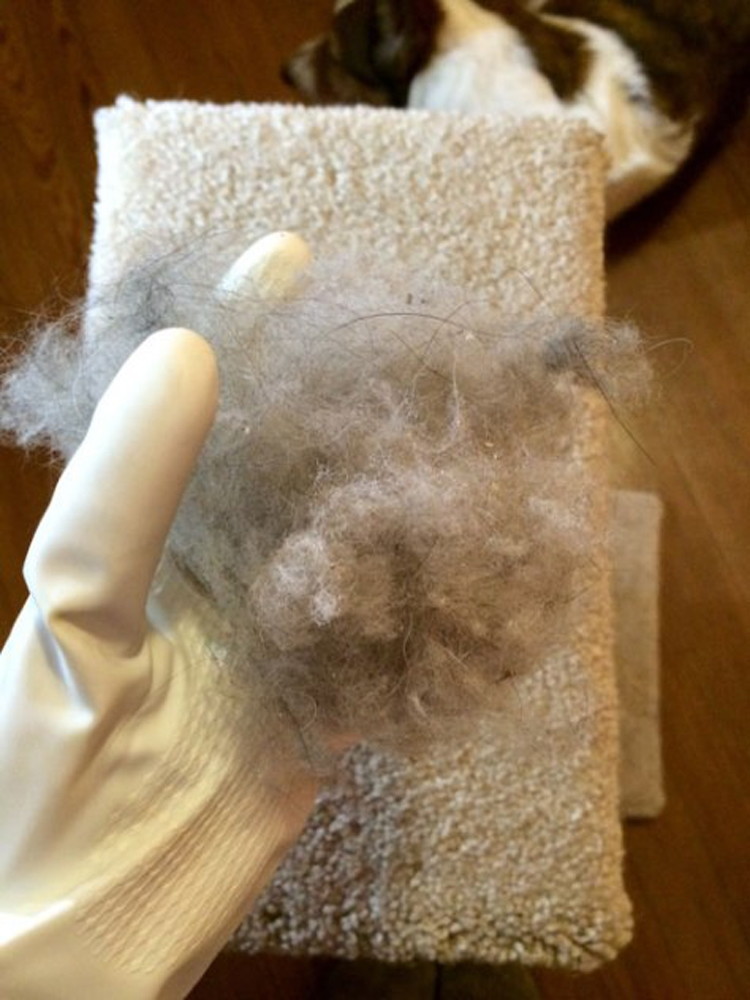 Use textured rubber gloves.