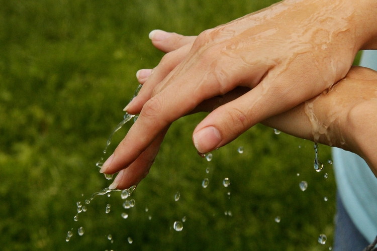 Run wet hands over pet hair.