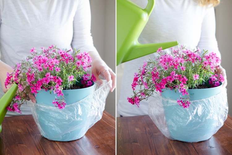 12 Surprising Shower Cap S That Will Make Your Life Easier The 3 Catch Any Drips When Watering An Indoor Plant