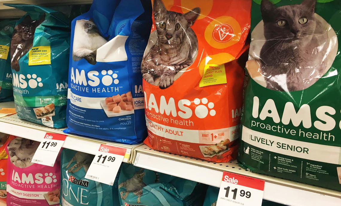 iams cat food at target