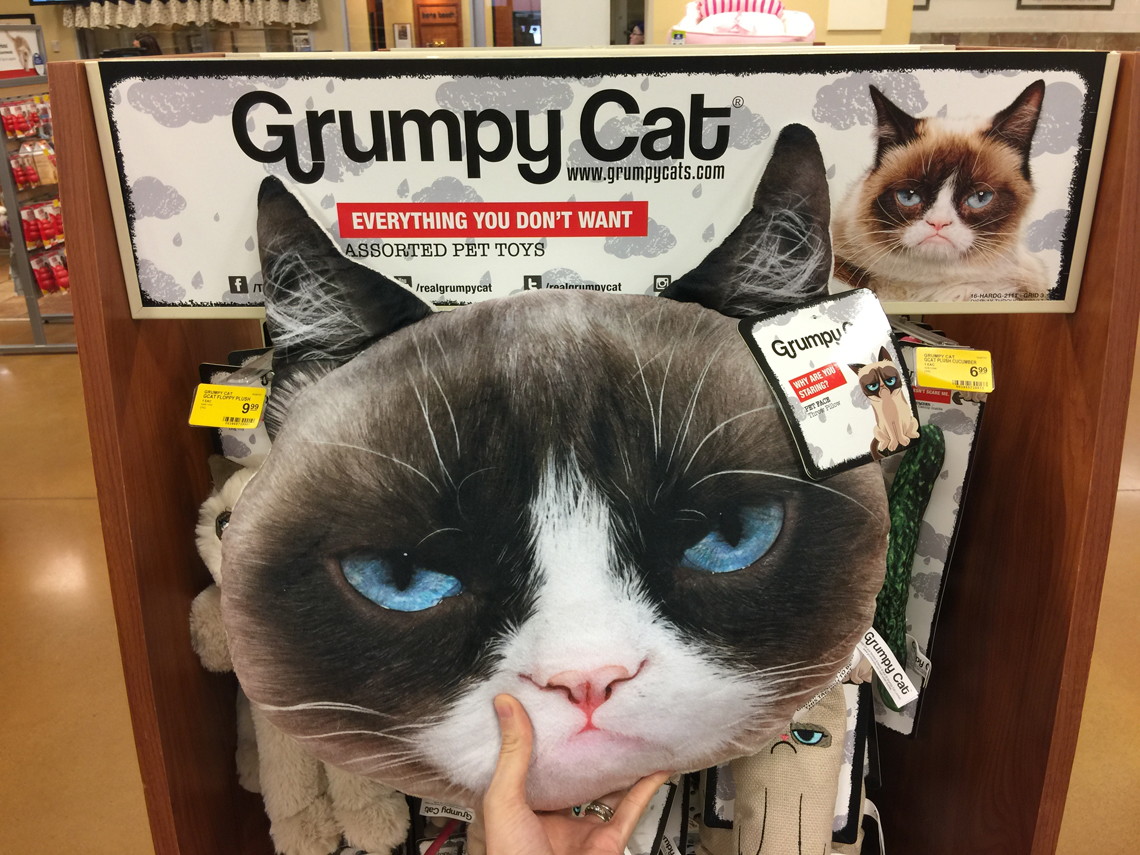 grumpy cat plush walmart