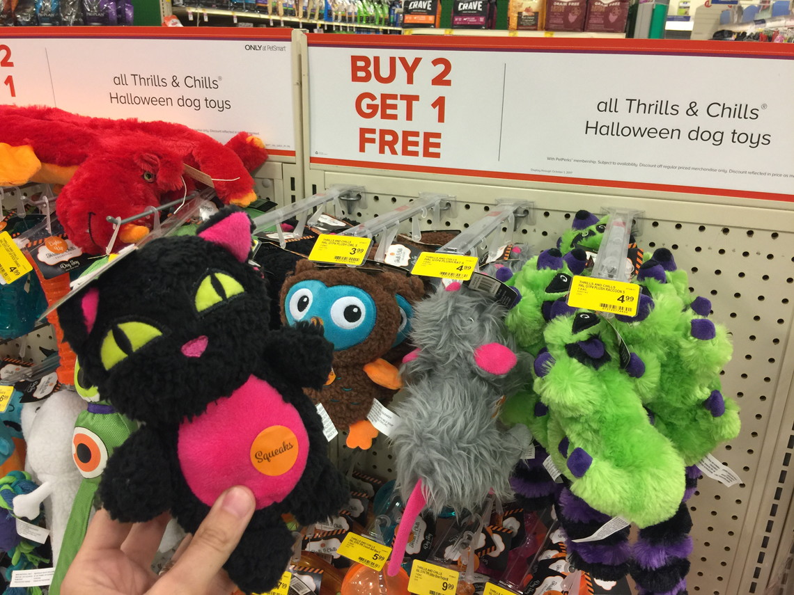 petsmart halloween dog toys