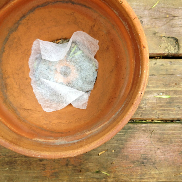 Keep the soil from falling out of a pot.