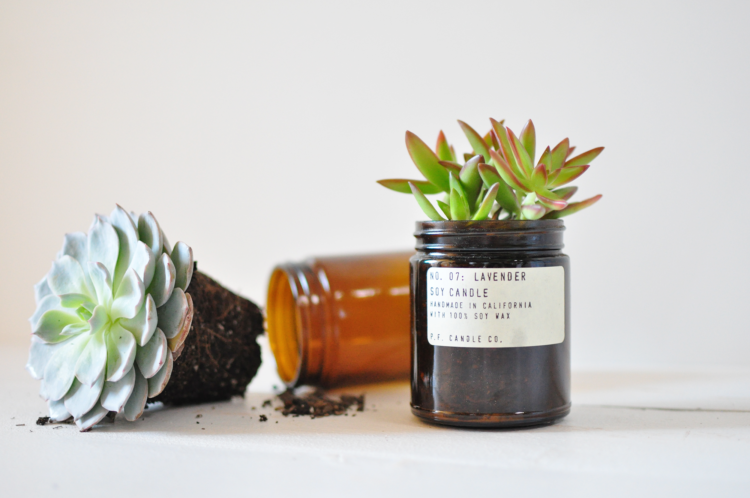 Plant succulents in an old candle jar.
