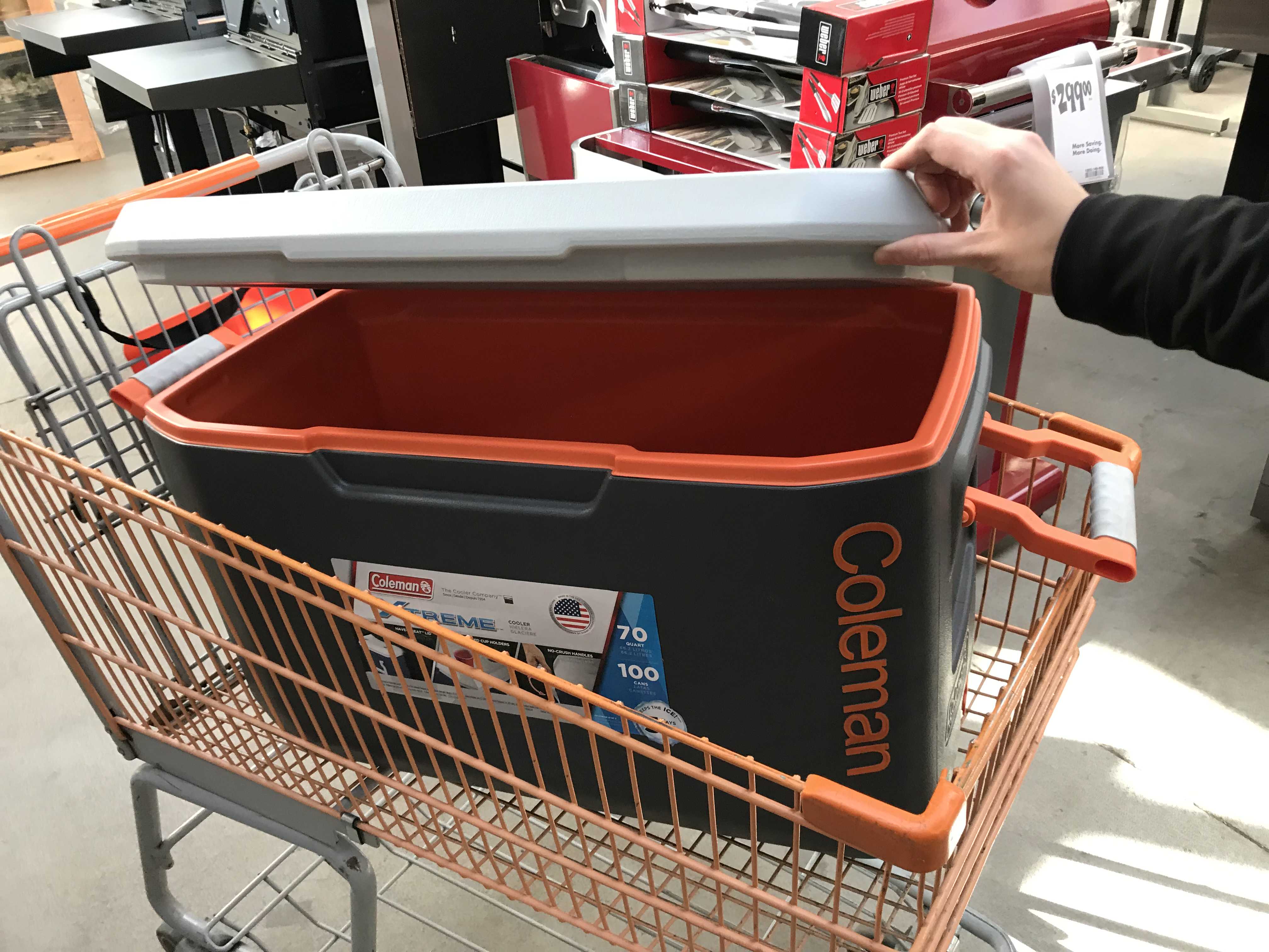 coleman shorts sam's club