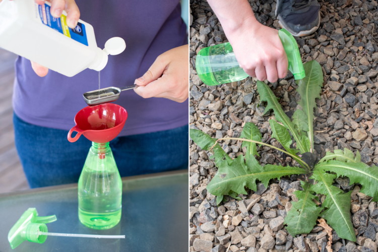 10 Homemade Weed Killers That Actually Work The Krazy Coupon Lady
