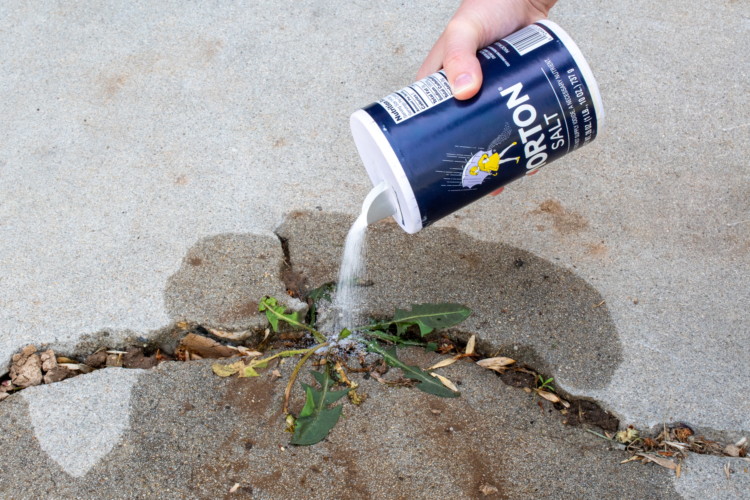 10 Homemade Weed Killers That Actually Work - The Krazy Coupon Lady