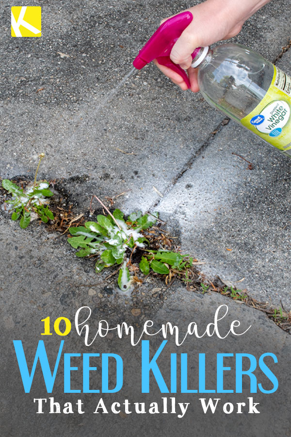 10 Homemade Weed Killers That Actually Work