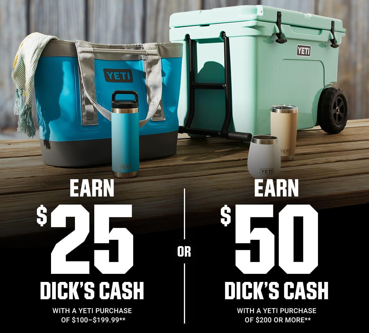 Dicks Sporting Coupon Printable Coupons Db 2016