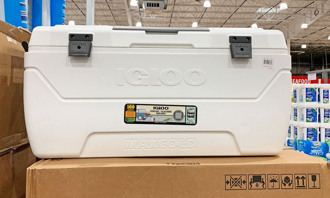 cooler igloo costco