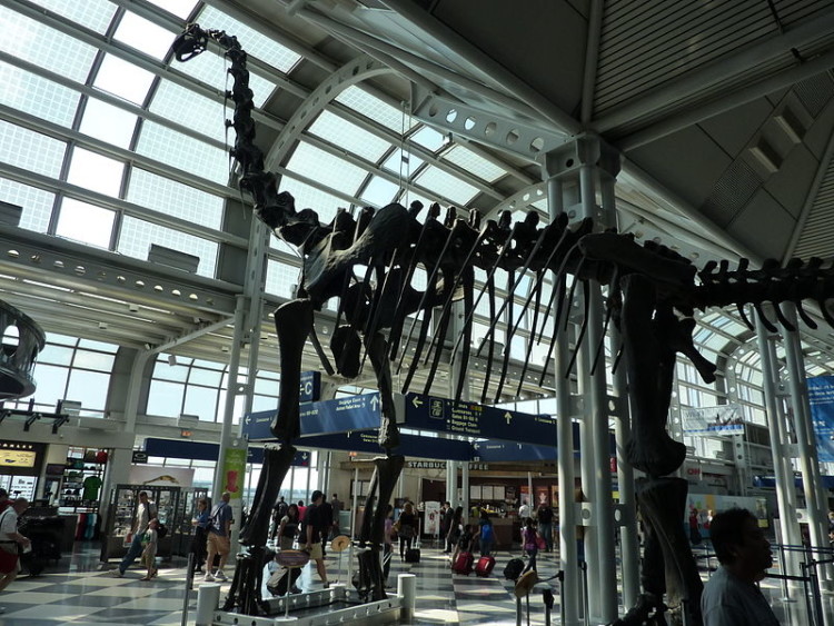 chicago-airport