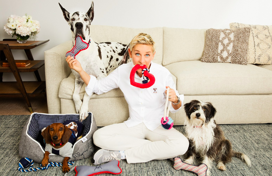 ellen degeneres dog clothes kohl's