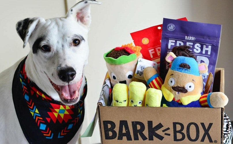 barkbox premium toy